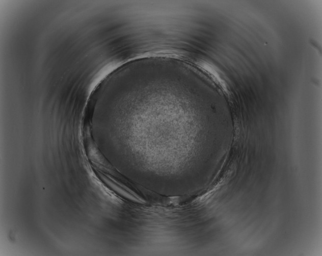 X0000091900952200709191235