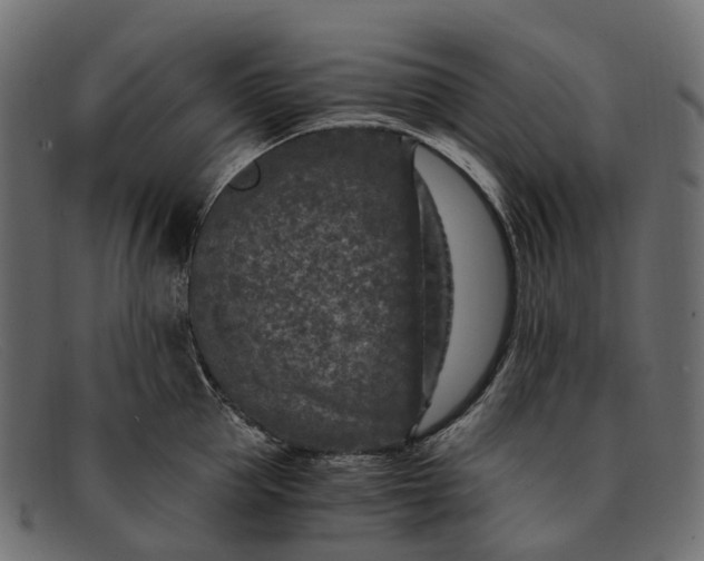 X0000091900953200709191235