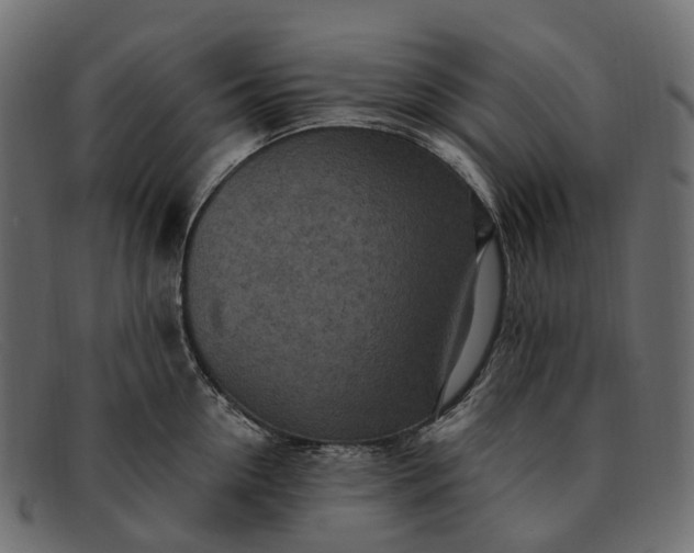 X0000091900954200709191235