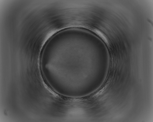 X0000091900958200709191235