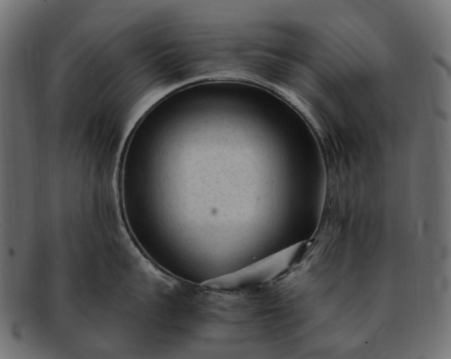 X0000091900959200709191235