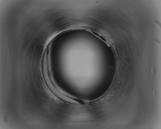 X0000091900960200709191235