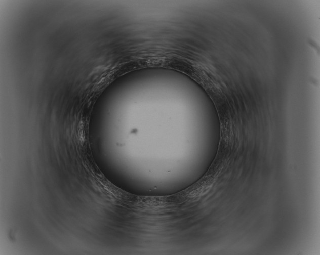 X0000091900962200709191234