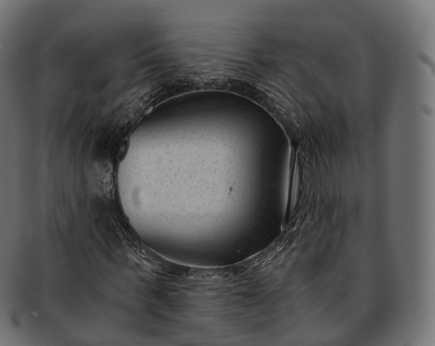 X0000091900963200709191234