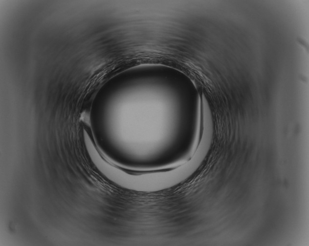 X0000091900964200709191234