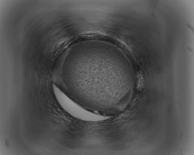 X0000091900965200709191234