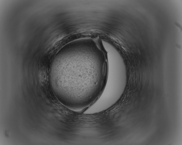 X0000091900966200709191234