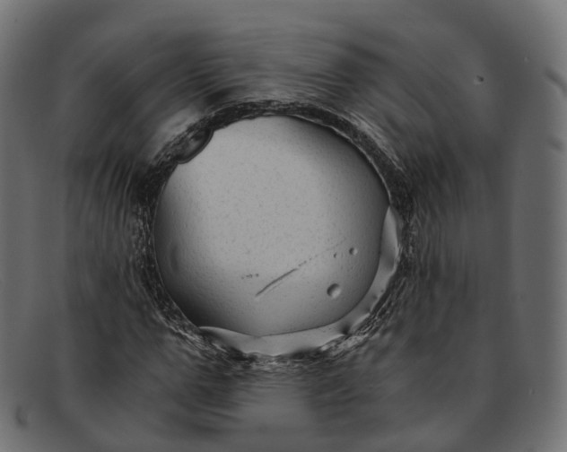 X0000091900967200709191234