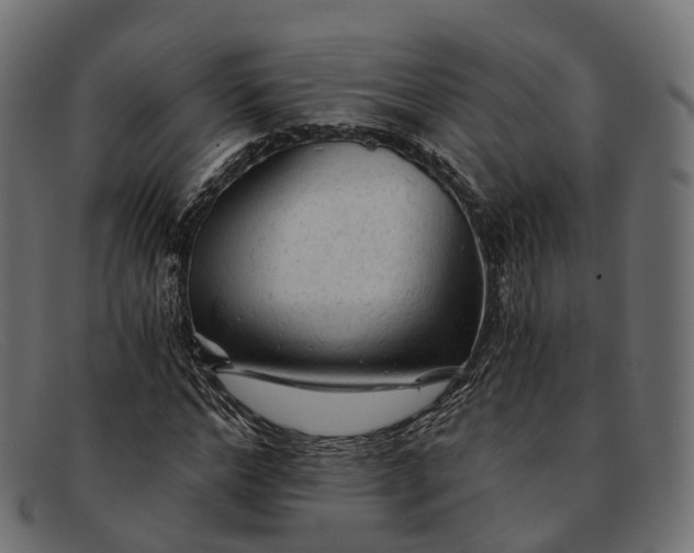 X0000091900968200709191234