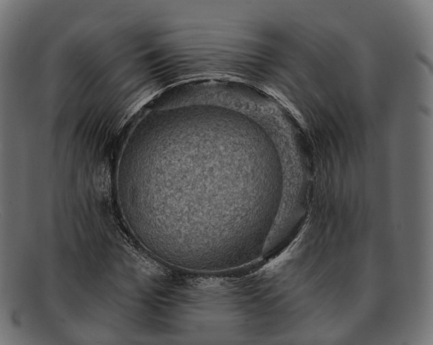 X0000091900969200709191234