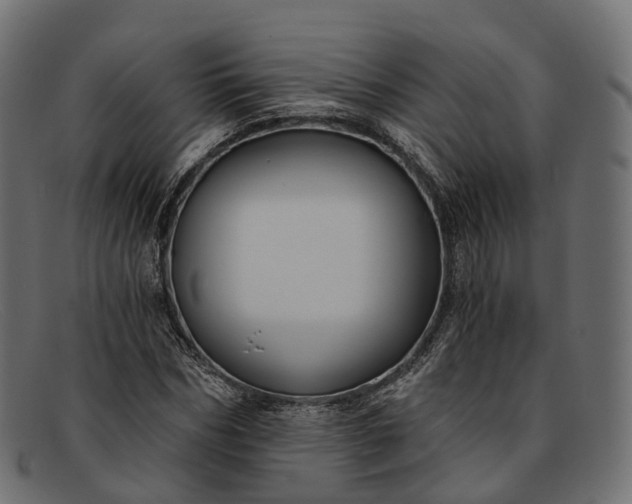 X0000091900970200709191234