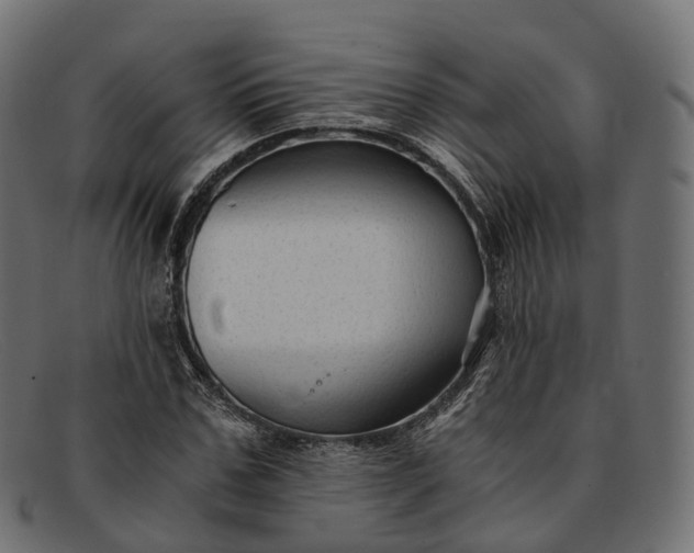 X0000091900971200709191234