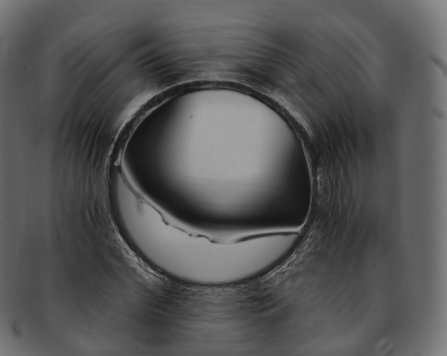 X0000091900972200709191234