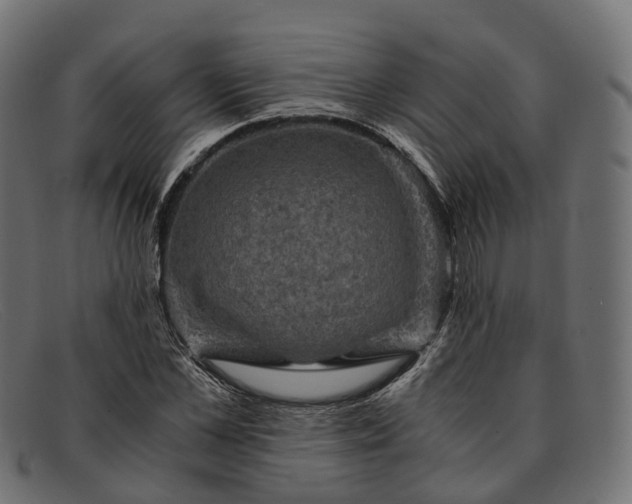 X0000091900973200709191234