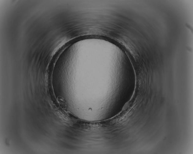 X0000091900975200709191234