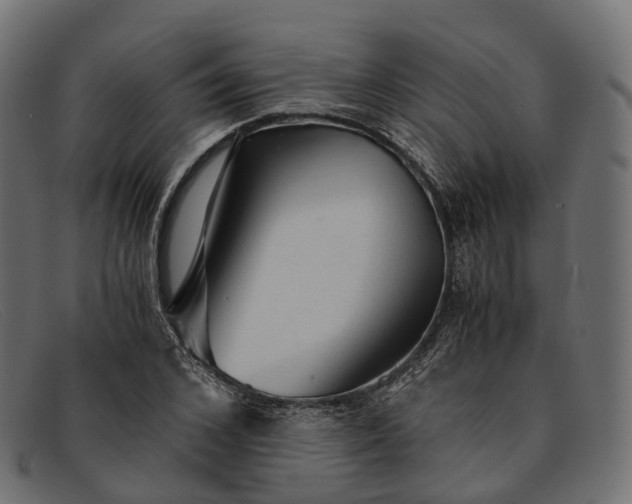 X0000091900976200709191234