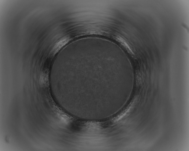 X0000091900977200709191234