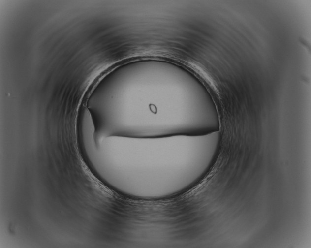 X0000091900980200709191234