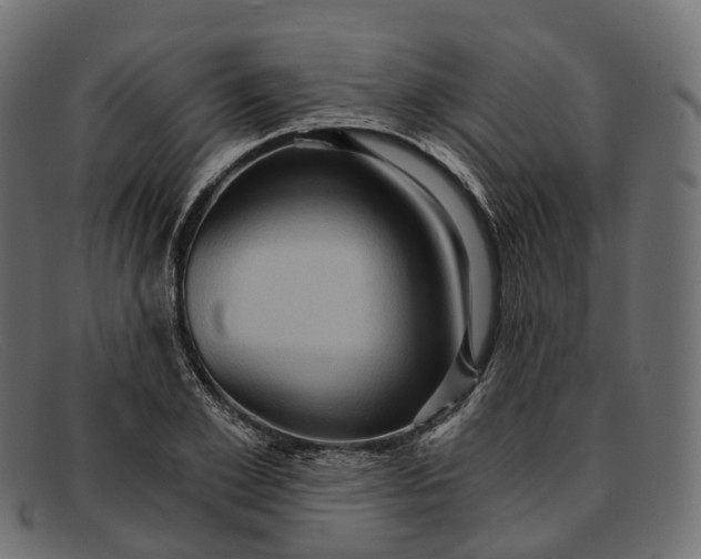 X0000091900981200709191234