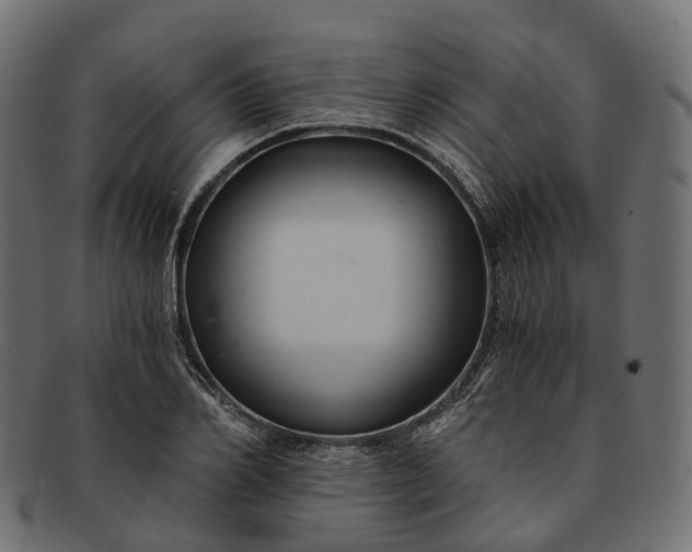 X0000091900982200709191234