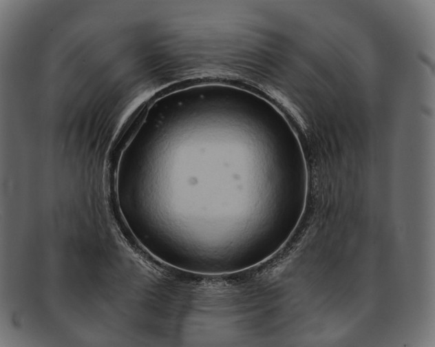 X0000091900983200709191234