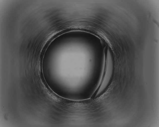 X0000091900984200709191234