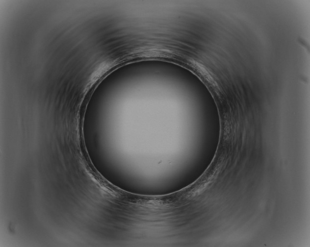 X0000091900986200709191234