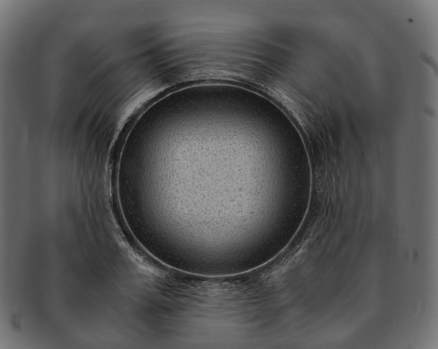 X0000091900987200709191234