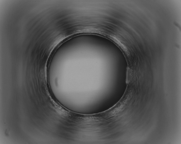 X0000091900988200709191234