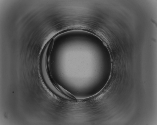 X0000091900989200709191234