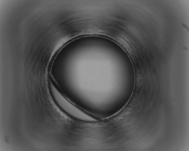 X0000091900990200709191234