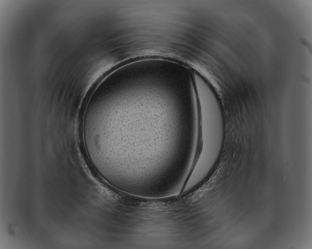 X0000091900991200709191234