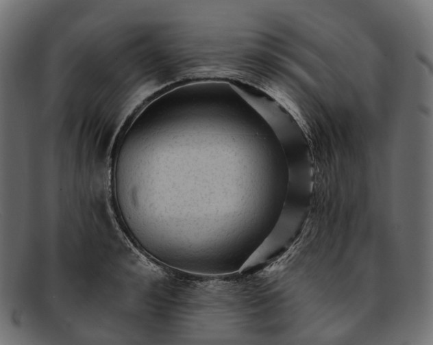 X0000091900992200709191234