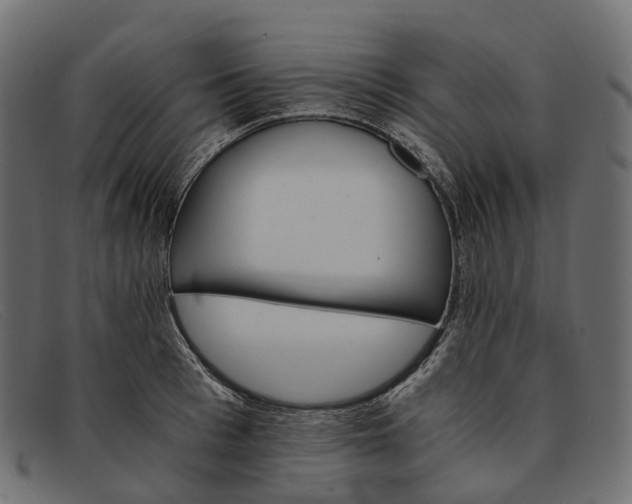 X0000091900993200709191234