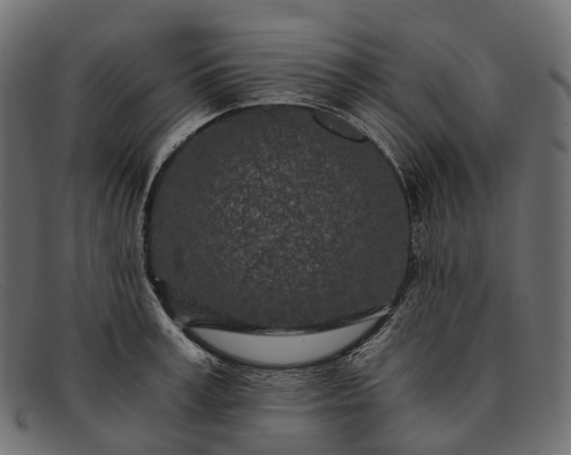 X0000091900995200709191234