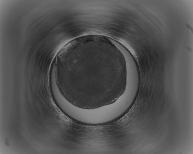 X0000091900996200709191234