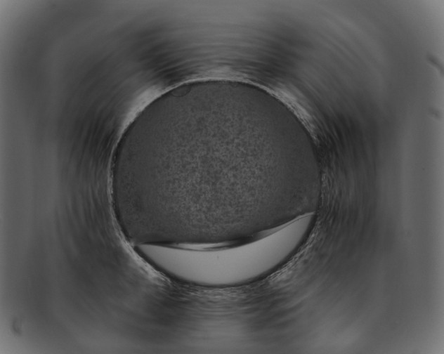 X0000091900998200709191234