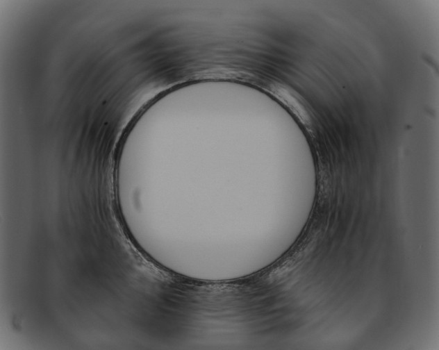 X0000091901000200709191234