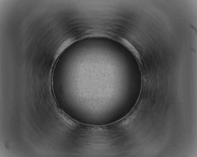 X0000091901002200709191234