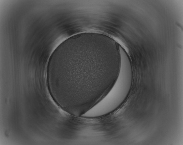 X0000091901007200709191233