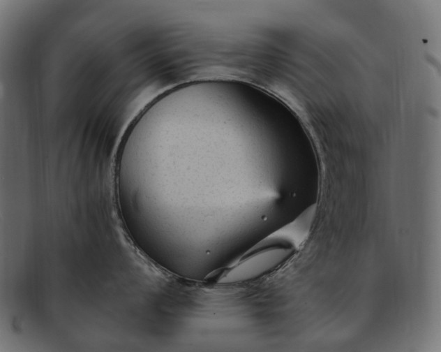 X0000091901008200709191233