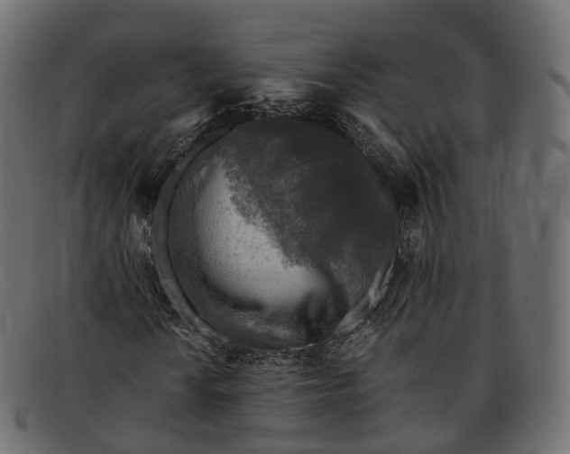 X0000091901010200709191233