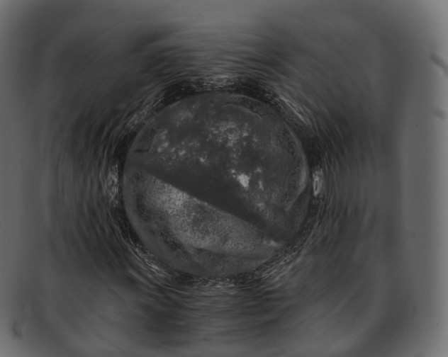 X0000091901011200709191233