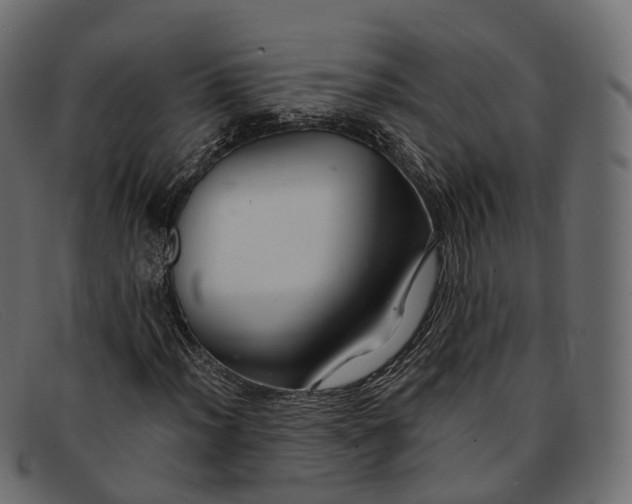 X0000091901012200709191233