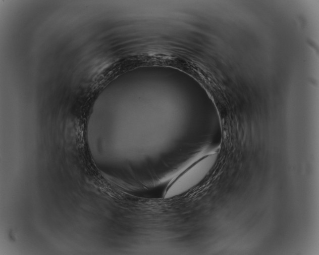 X0000091901013200709191233