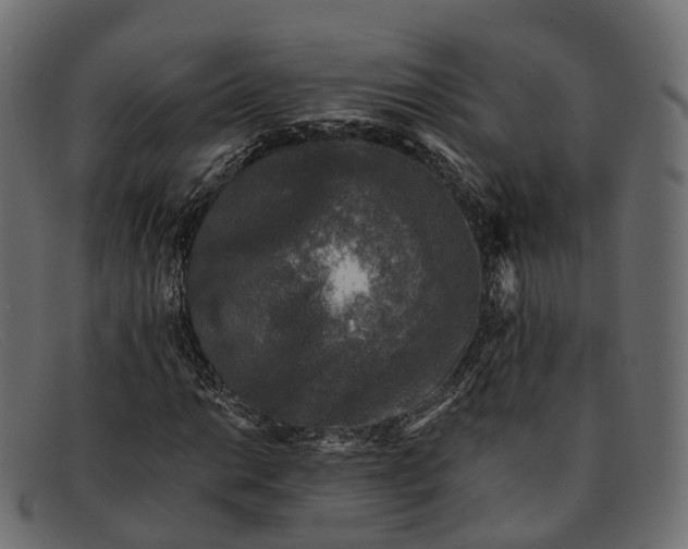 X0000091901014200709191233