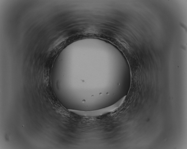 X0000091901015200709191233