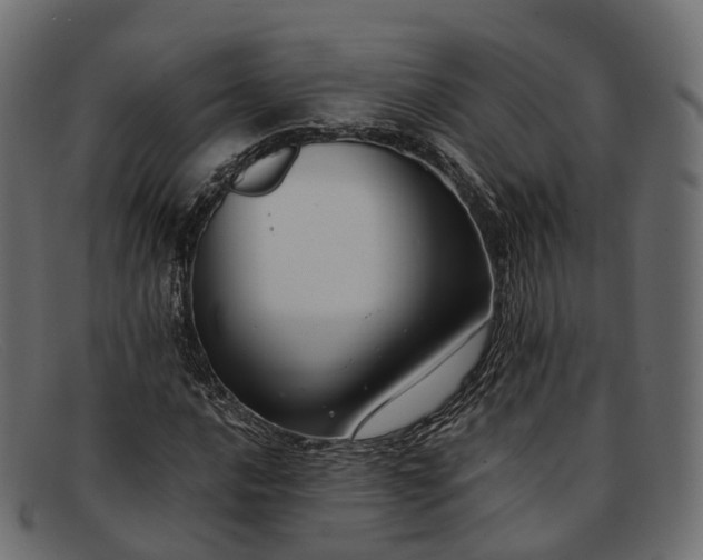 X0000091901016200709191233