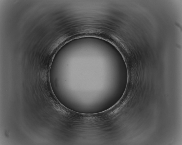 X0000091901017200709191233