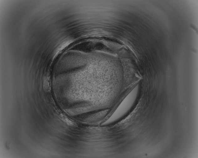 X0000091901018200709191233